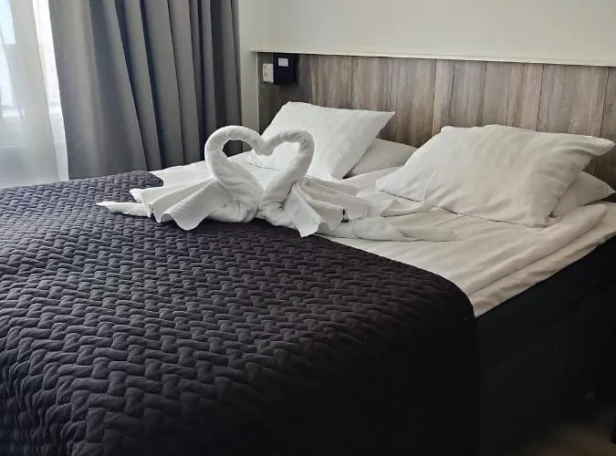 酒店 阿马多酒店 波里