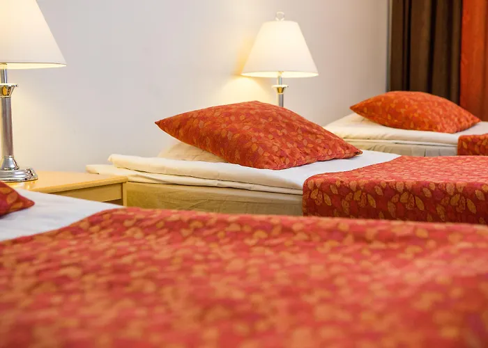 阿马多酒店 3* 波里