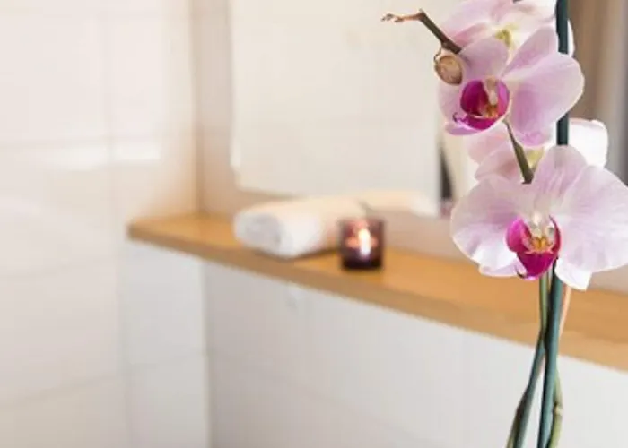 阿马多酒店 酒店