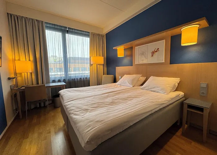 酒店 阿马多酒店 波里